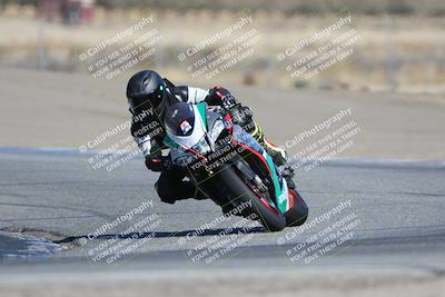 media/Oct-29-2023-Carters at The Track (Sun) [[b2bb4383ab]]/B Plus/120pm (Outside Grapevine)/